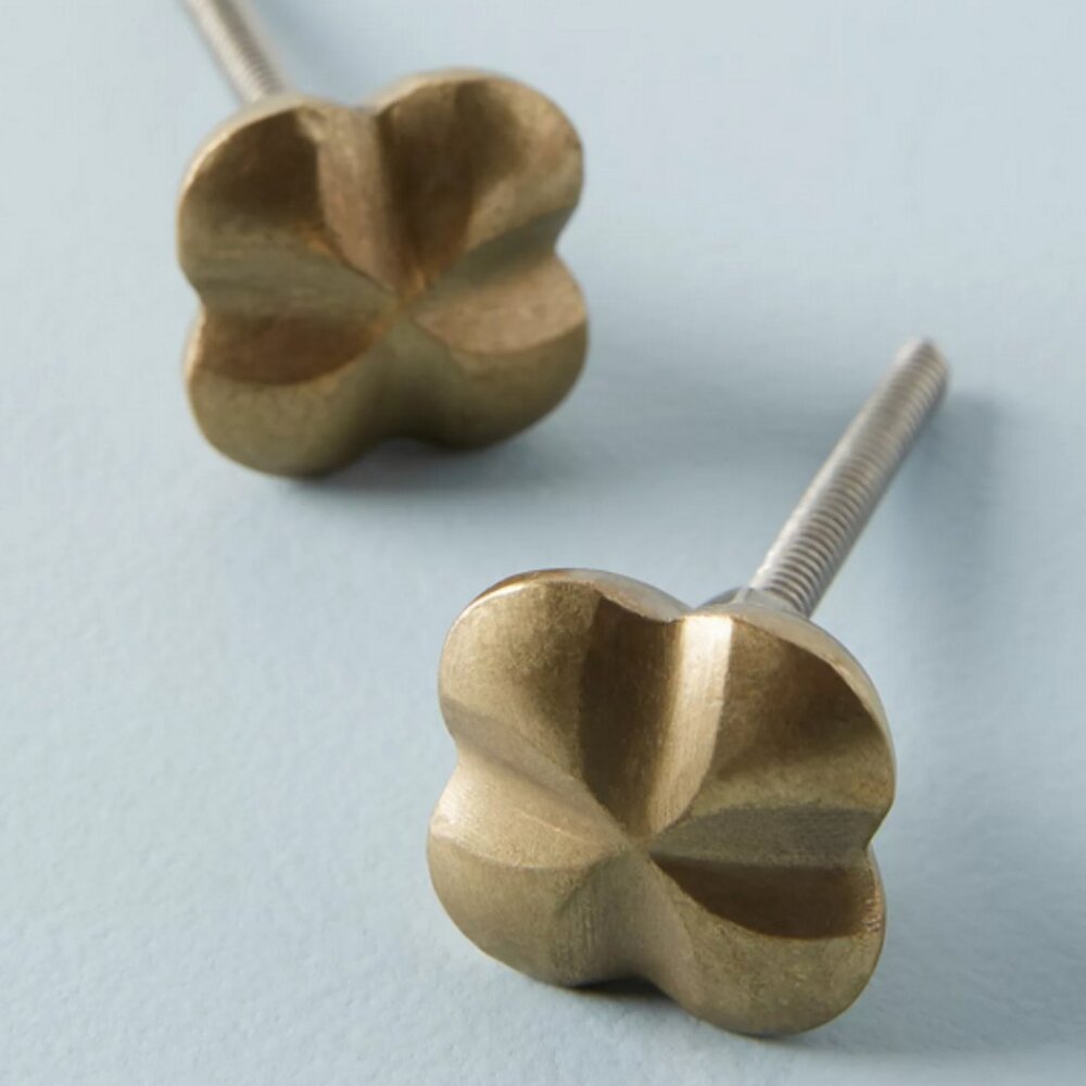 Brand New Anthropologie  Petite Metallic Knobs